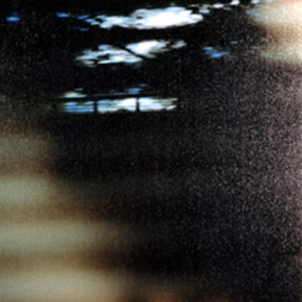 Sentimental Landscape
