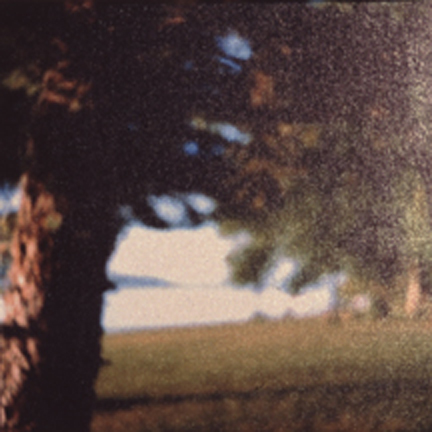 Sentimental Landscape